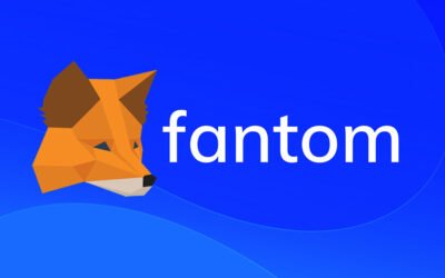 Add Fantom Network to Metamask